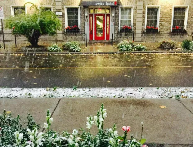 Swiss Hotel hotel detail image 4