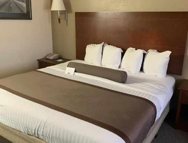 Best Western Desert Oasis hotel detail image 4