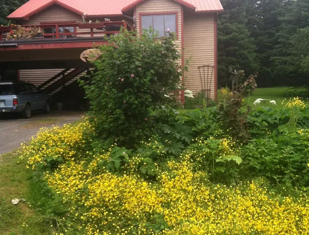 Whalesong Bed and Breakfast hotel detail image 2