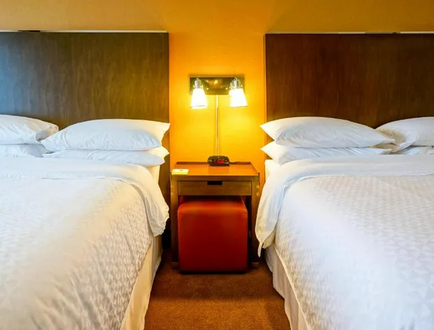 Four Points by Sheraton Phoenix South hotel detail image 3