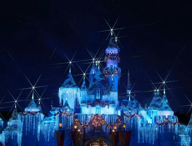 Anaheim Marriott Hotel hotel detail image 4