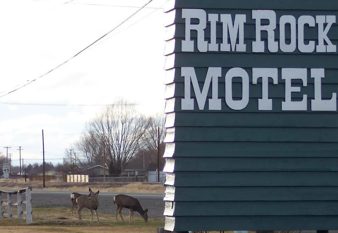 Rim Rock Motel hotel hero