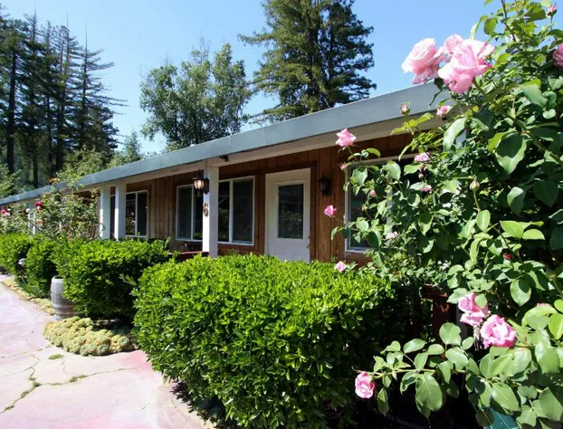 The Woods Hotel - Gay LGBTQ Cabins hotel detail image 3