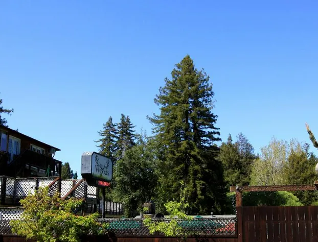 The Woods Hotel - Gay LGBTQ Cabins hotel detail image 4