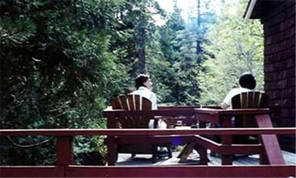 Silver Pines Lodge hotel detail image 1