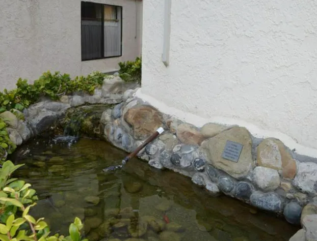 Jolly Roger Hotel hotel detail image 2