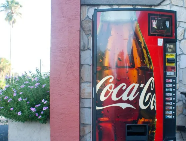 Polynesian Inn hotel detail image 4