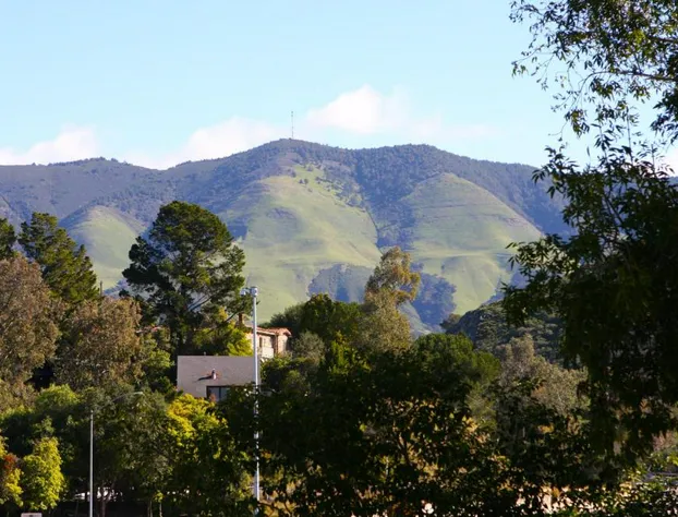Hotel Buena Vista hotel detail image 1