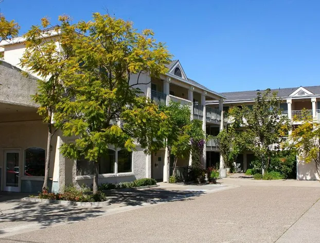 Hotel Buena Vista hotel detail image 4