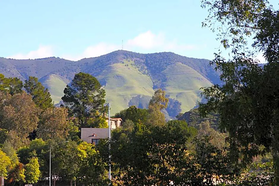 Hotel Buena Vista hotel hero