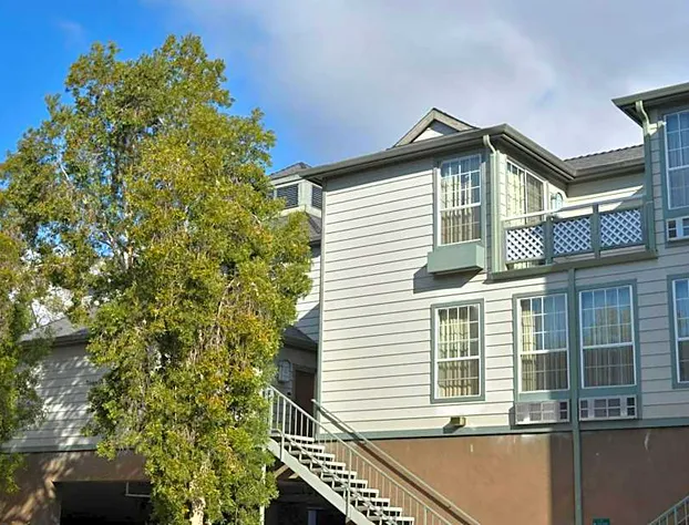 Hotel Buena Vista hotel detail image 2