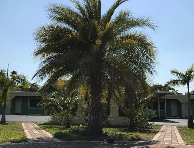 Apollo Inn Motel hotel detail image 1