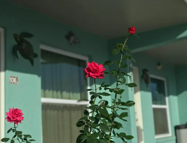 Immokalee Inn hotel detail image 4