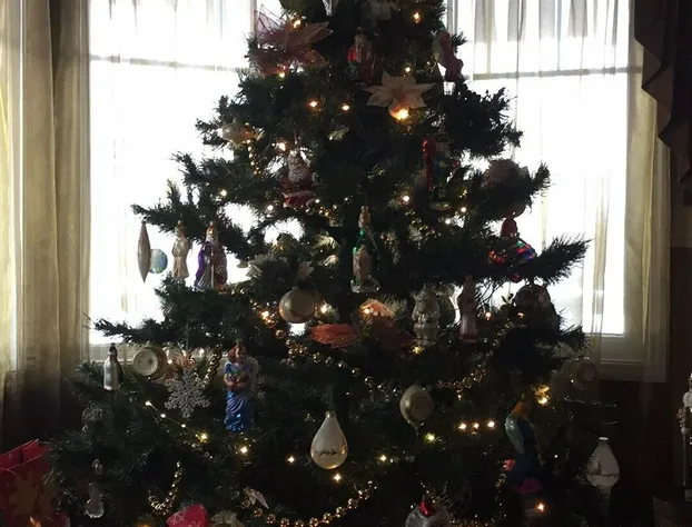 Elevate Rooms Harmony House B&B hotel detail image 4