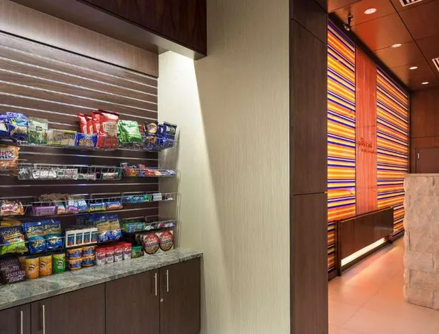 Hilton Garden Inn Atlanta Midtown hotel detail image 3