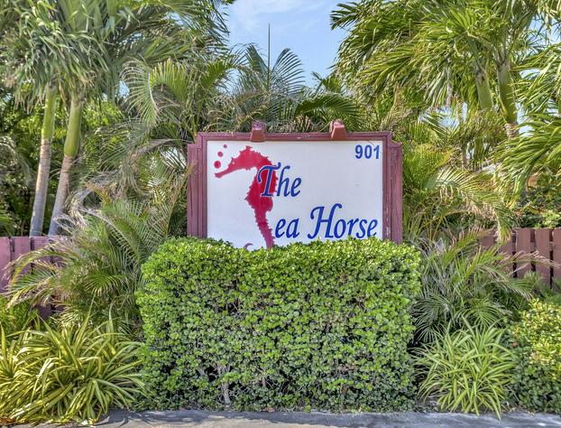 Seahorse Guesthouse hotel detail image 3