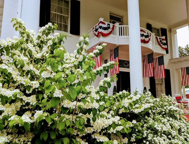 Allegiance Bed and Breakfast hotel detail image 2