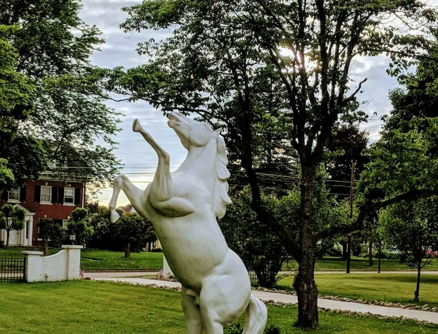 Allegiance Bed and Breakfast hotel detail image 3