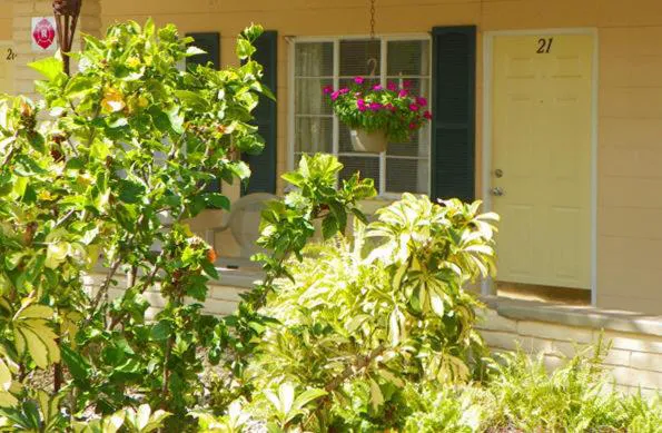 Island Breeze Inn hotel detail image 2