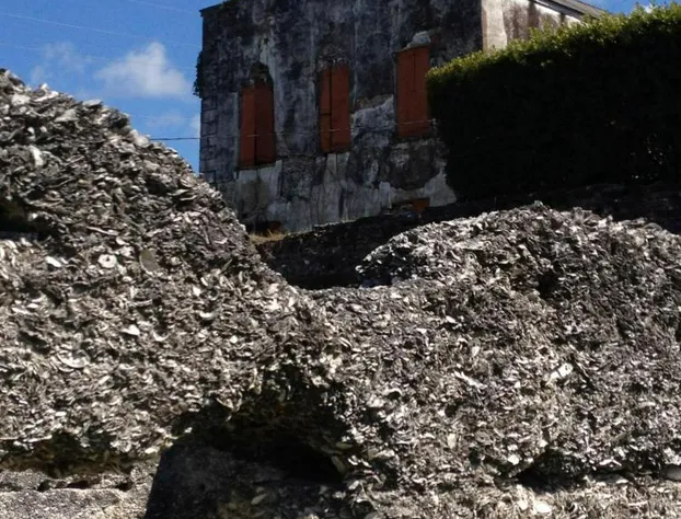 Open Gates Bed & Breakfast hotel detail image 1