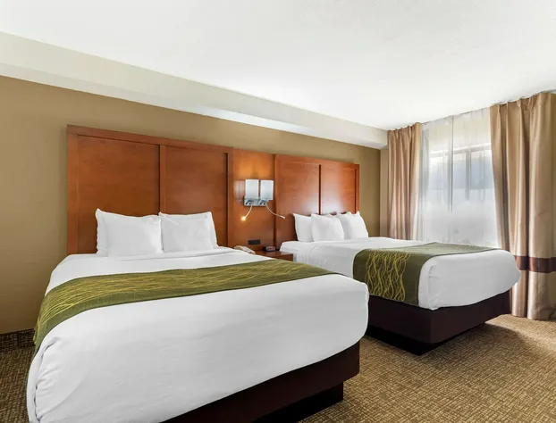 Comfort Inn & Suites - near Robins Air Force Base Main Gate hotel detail image 3