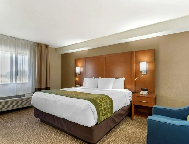 Comfort Inn & Suites - near Robins Air Force Base Main Gate hotel detail image 4