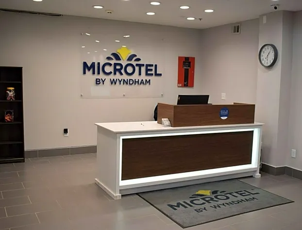 Microtel Inn & Suites by Wyndham Stockbridge/Atlanta I-75 hotel detail image 2