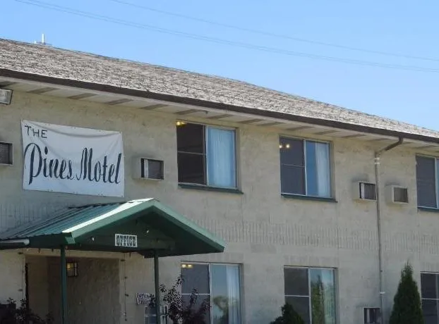 The Pines Motel hotel detail image 3