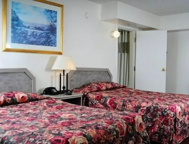 Amber Inn hotel detail image 4