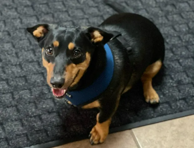 Southfork Motel and Grill hotel detail image 3