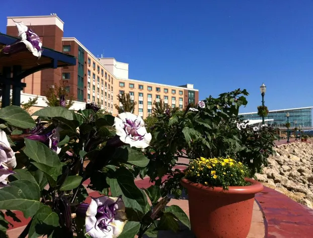 Grand Harbor Resort and Waterpark hotel detail image 2
