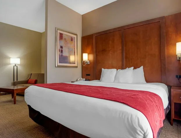 Comfort Suites Oxford I-20 exit 188 hotel detail image 3