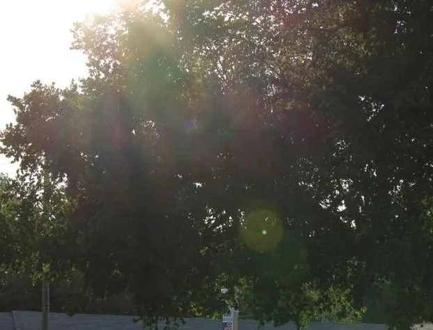 The Inn hotel detail image 1