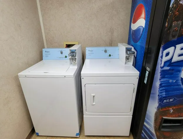 Single Tree Inn Hotel O hotel detail image 3