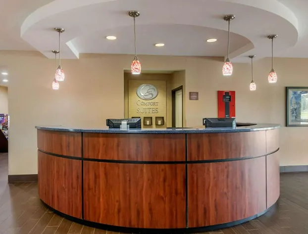 Comfort Suites Speedway - Kansas City hotel detail image 3