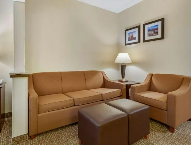 Comfort Inn & Suites North Tucson - Marana hotel detail image 4