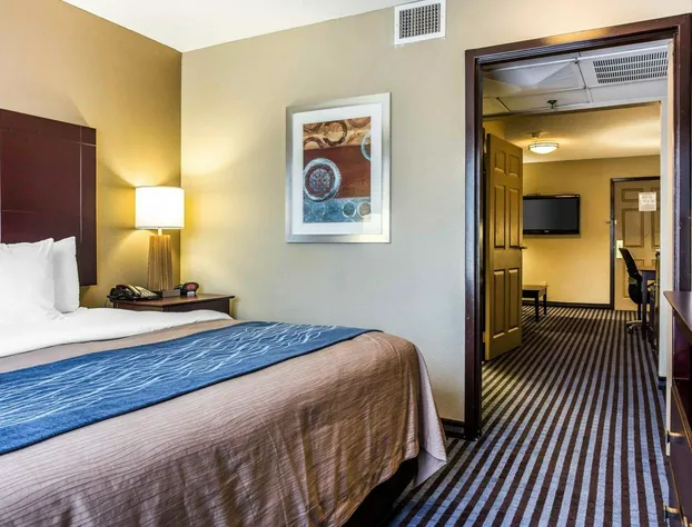 Comfort Inn & Suites Ballpark Area hotel detail image 4