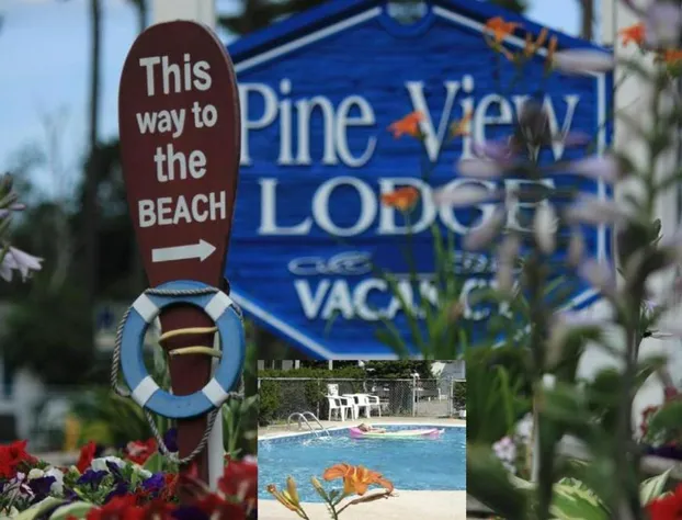 Pine View Lodge hotel detail image 1