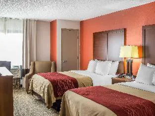 Comfort Inn Greensboro - Kernersville hotel detail image 3