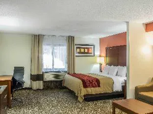 Comfort Inn Greensboro - Kernersville hotel detail image 2