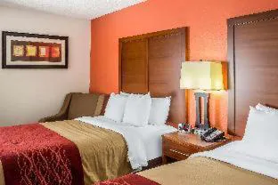 Comfort Inn Greensboro - Kernersville hotel detail image 3