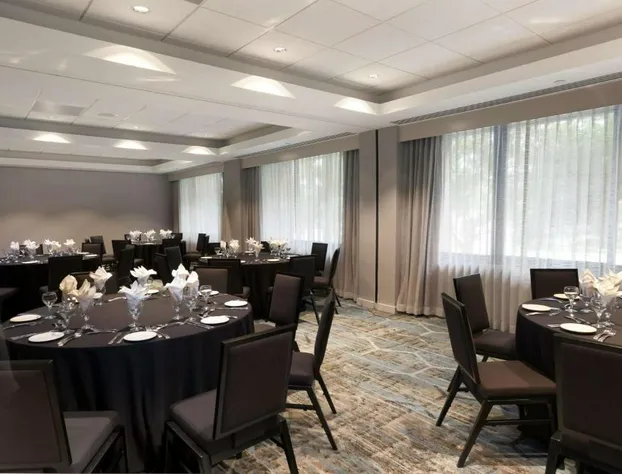 DoubleTree by Hilton Hotel & Suites Houston by the Galleria hotel detail image 1