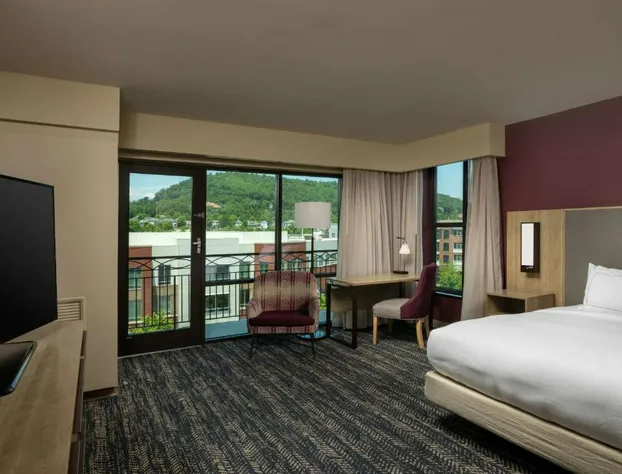 Hilton Asheville Biltmore Park hotel detail image 4