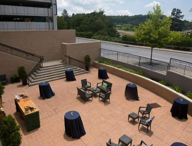 Hilton Asheville Biltmore Park hotel detail image 2