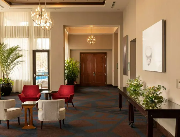 Hilton Asheville Biltmore Park hotel detail image 3