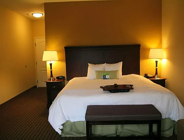 Hampton Inn By Hilton Kilgore hotel detail image 4