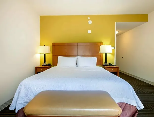 Hampton Inn Ringgold-Ft. Oglethorpe hotel detail image 3