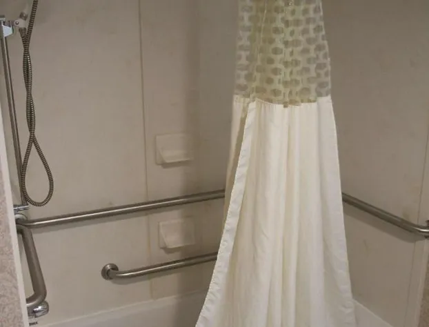 Hampton Inn Greeneville hotel detail image 3