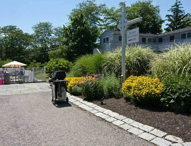 Sea Lion Motel and Cottages hotel detail image 2