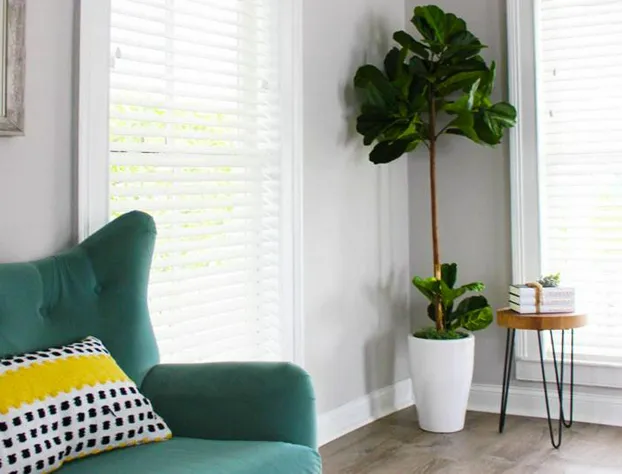 The National Hotel hotel detail image 1